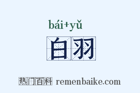 白羽是什么意思的图片